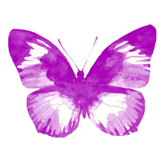 butterflies design