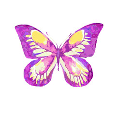 butterflies design