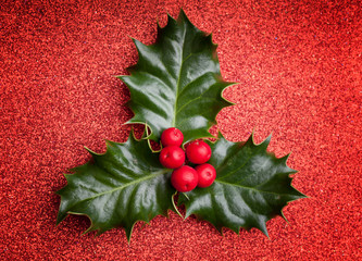 Christmas holly leaf with red berries on red holiday background