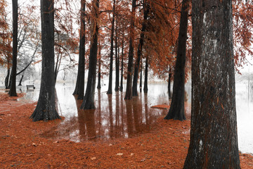 Varese Lake, overflow in the public park Zanzi