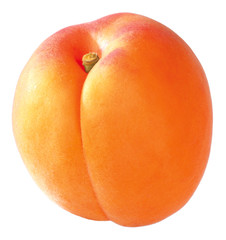 Aprikose