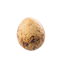 Quail eggs over white background