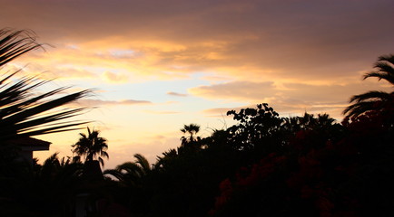 Obraz na płótnie Canvas Sunset at the tropic