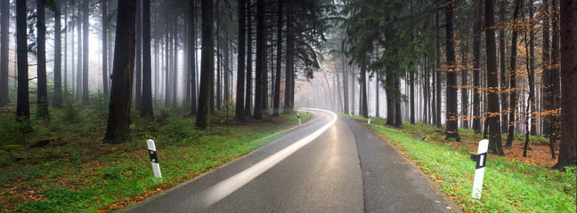 Straßenverkehr im Wald bei Nebel