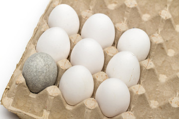 eggs on the white background