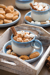 cocoa with marshmallows, cinnamon and spices on wooden tray