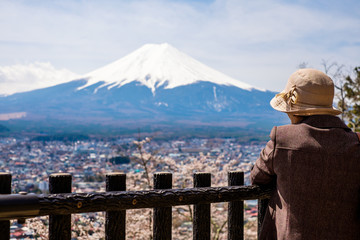 The mount Fuji