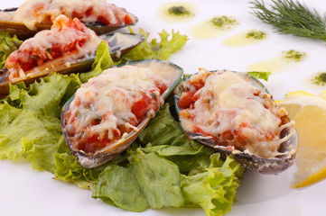 Mussels
