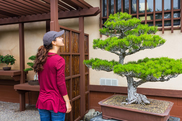 Woman and bonsai
