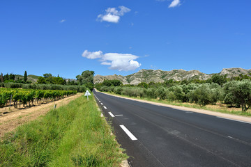 Fototapeta na wymiar Provence countryside