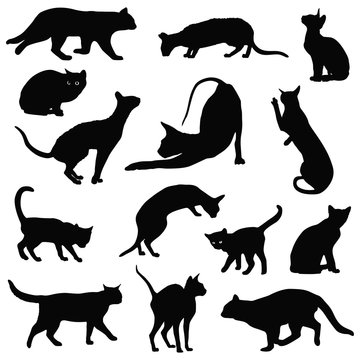 Cats vector silhouettes collection