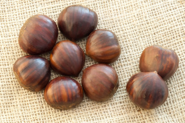 chestnut