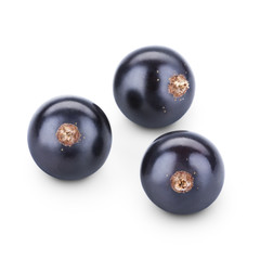 Black currant