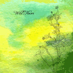 Fototapeta na wymiar Floral composition with watercolor background