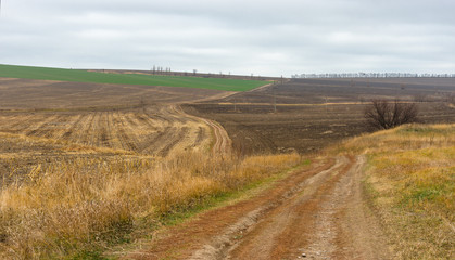 Fototapeta na wymiar Autumnal landscape with agricultural fields in central Ukraine