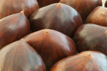 chestnuts