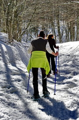 randonnée en raquette a neige