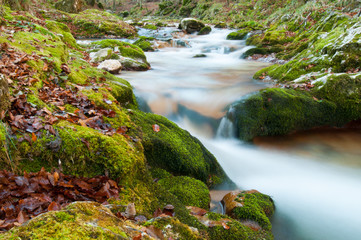 Torrente