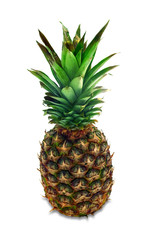 Fototapeta premium Ananas & Pineapple