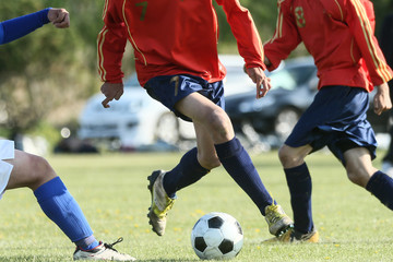 Fototapeta premium Piłka nożna