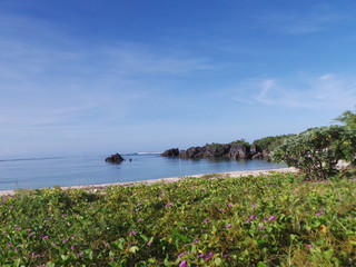 Serene mornings by the beach