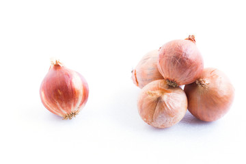 Onion on white background.