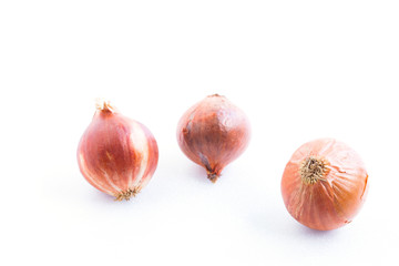 Onion on white background.
