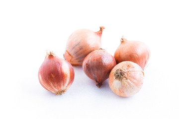 Onion on white background.