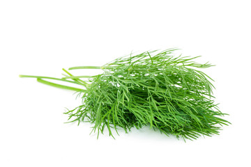 Green dill isolated on white background. Studio macro