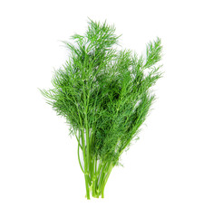 dill isolated on white