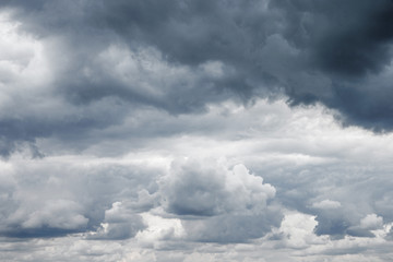 Obraz premium Vintage nature background