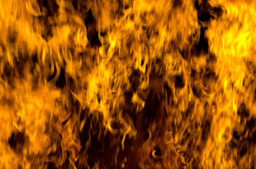 fire flame