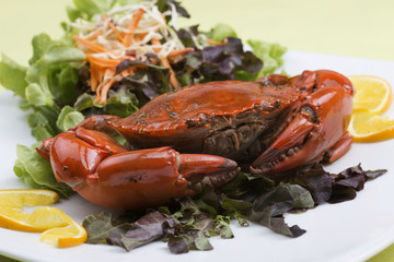 Fresh Steam red crab