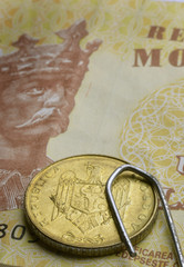 Leu moldovenesc молдавский лей Moldovan money Moldova currency