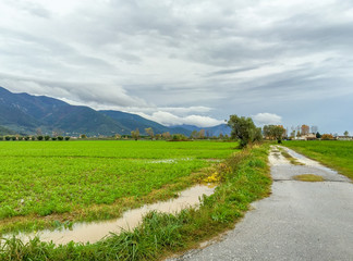 Fototapeta na wymiar Countryside of Tuscany with flooded creeks