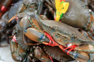 fresh crab at the market