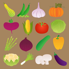 Set of Fresh Vegetables
