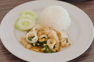 spicy squid with rice
