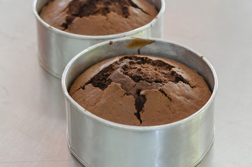 fresh chocolate cake