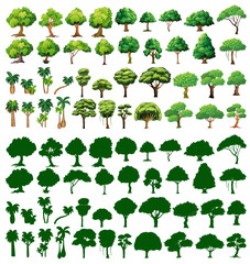 Silhoutte of trees © GraphicsRF