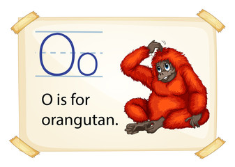 A letter O for orangutan