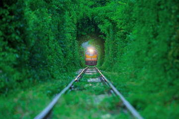 Train running in Natural tunnel