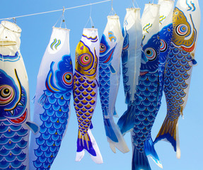 Fototapeta premium Japanese Fish Kites