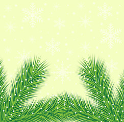 Fototapeta na wymiar christmas background with the sprigs of fir-tree