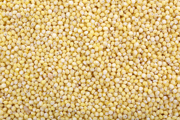 Millet as background