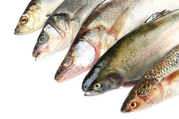Fresh fish isolated on white