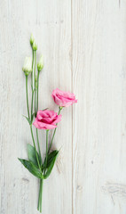 eustoma flower on wooden surface