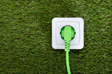 Green Plug In Outlet On Grass