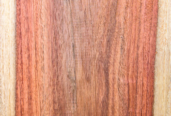 Naklejka premium Siamese Rosewood