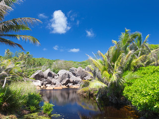clear river in the Seychelles